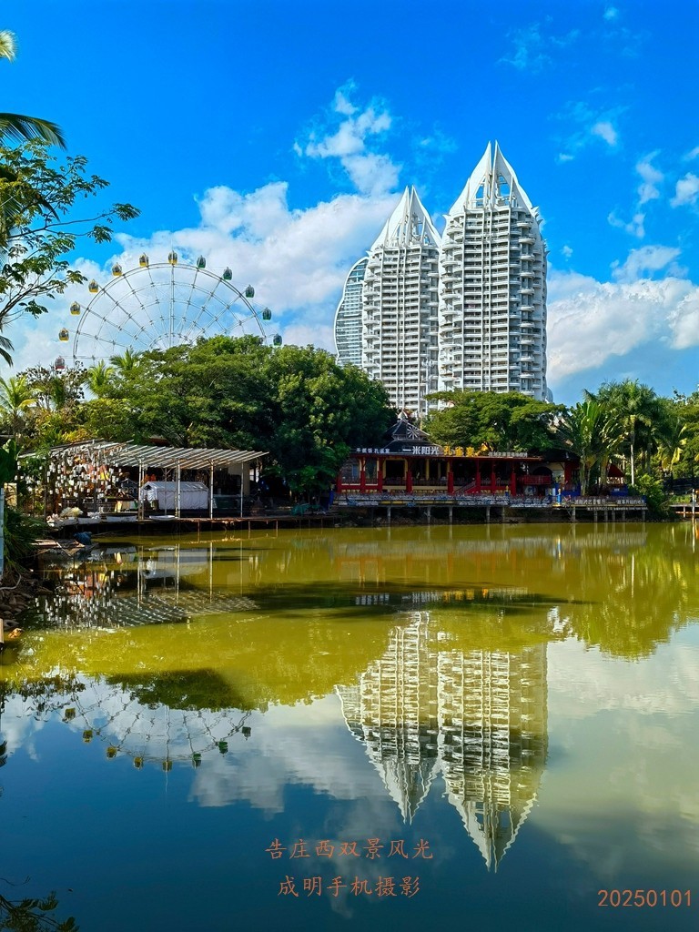 告庄西双景风景