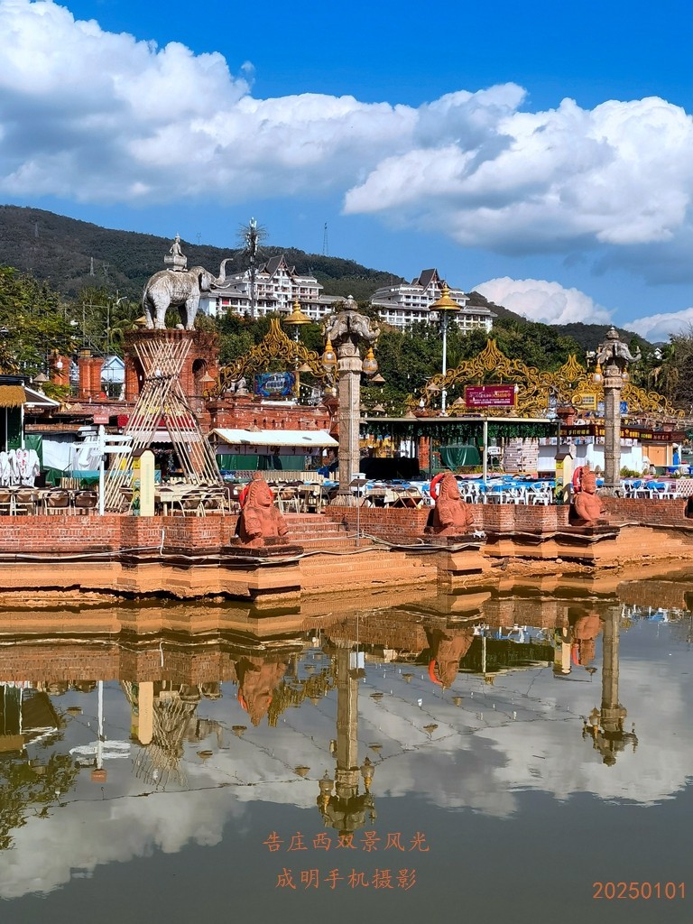 告庄西双景风景