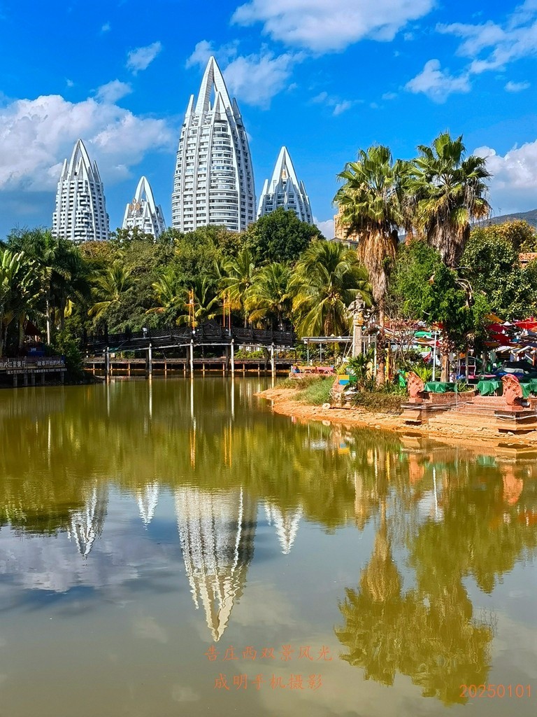 告庄西双景风景