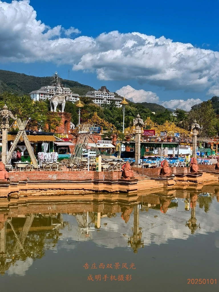 告庄西双景风景