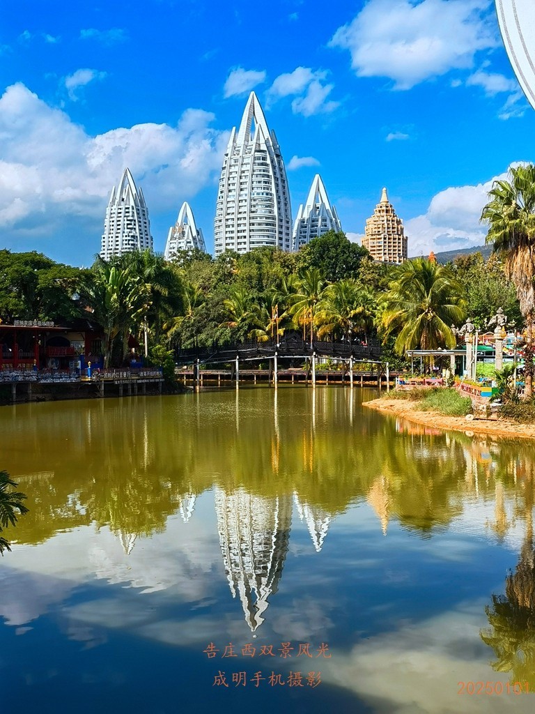 告庄西双景风景