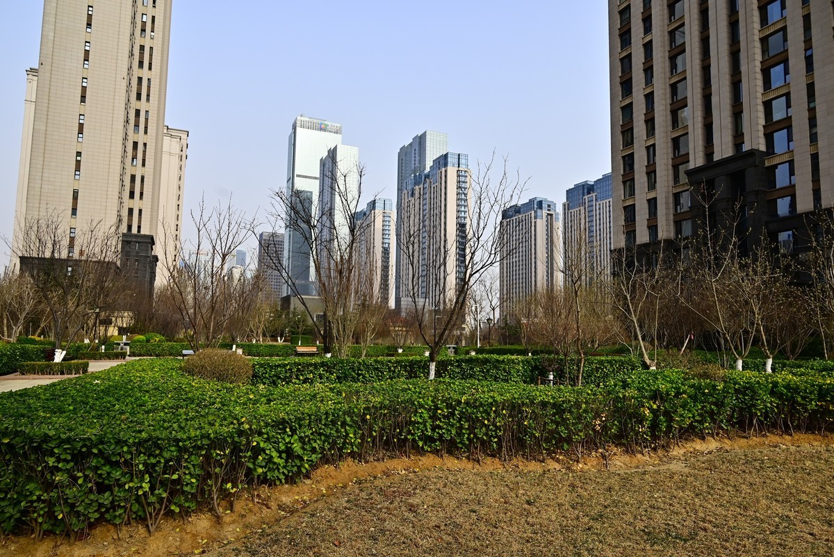 小区春意浓春天真的来啦