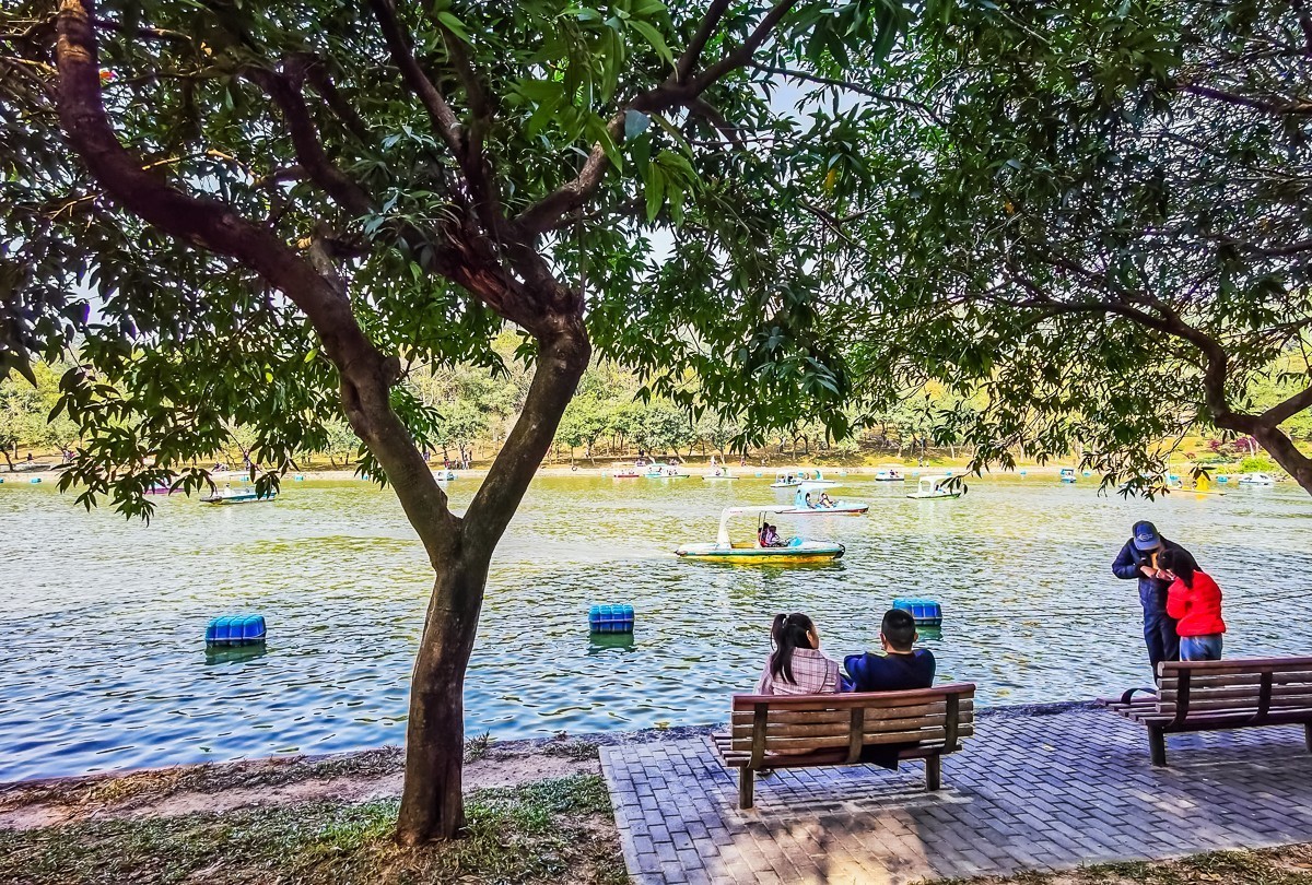 深圳莲花山公园掠影