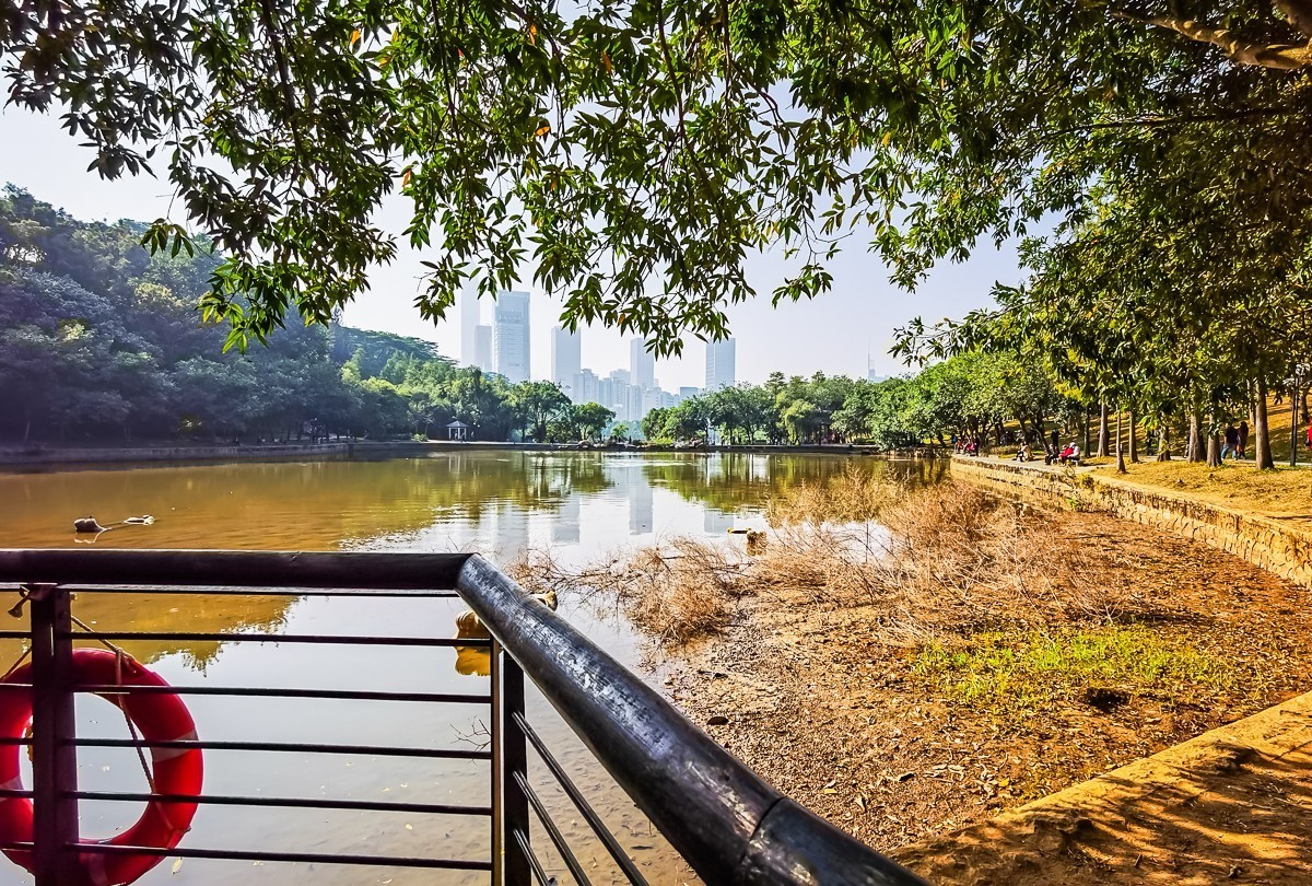 深圳莲花山公园掠影