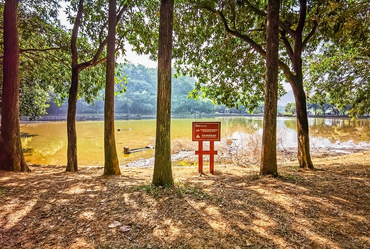 深圳莲花山公园掠影