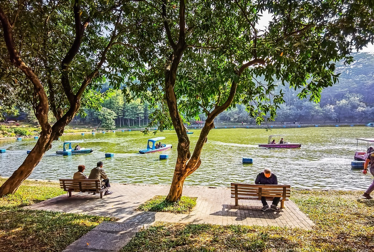 深圳莲花山公园掠影