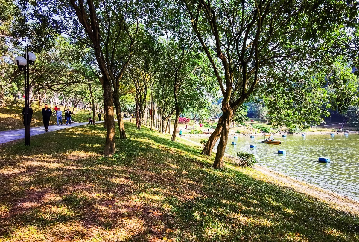 深圳莲花山公园掠影