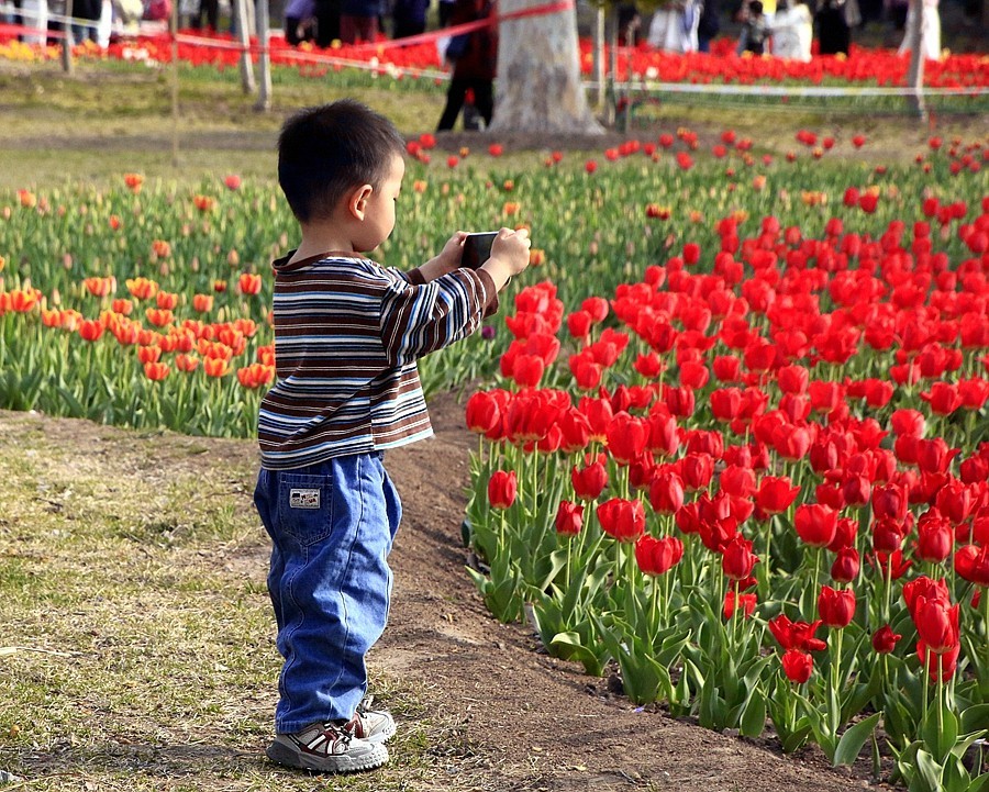 纪实摄影》名人植物园：（6）赏花留念！