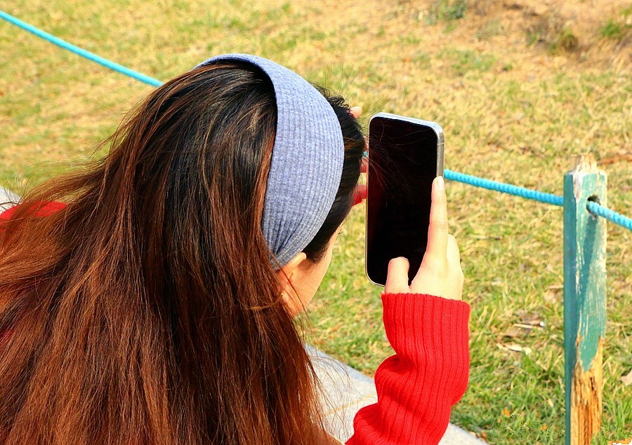 2025.4.9《不老松：纪实摄影》名人植物园：（5）拍花留念也要找角度！