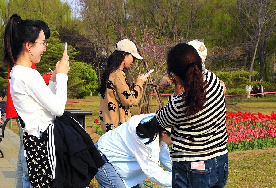 2025.4.9《不老松：纪实摄影》名人植物园：（5）拍花留念也要找角度！