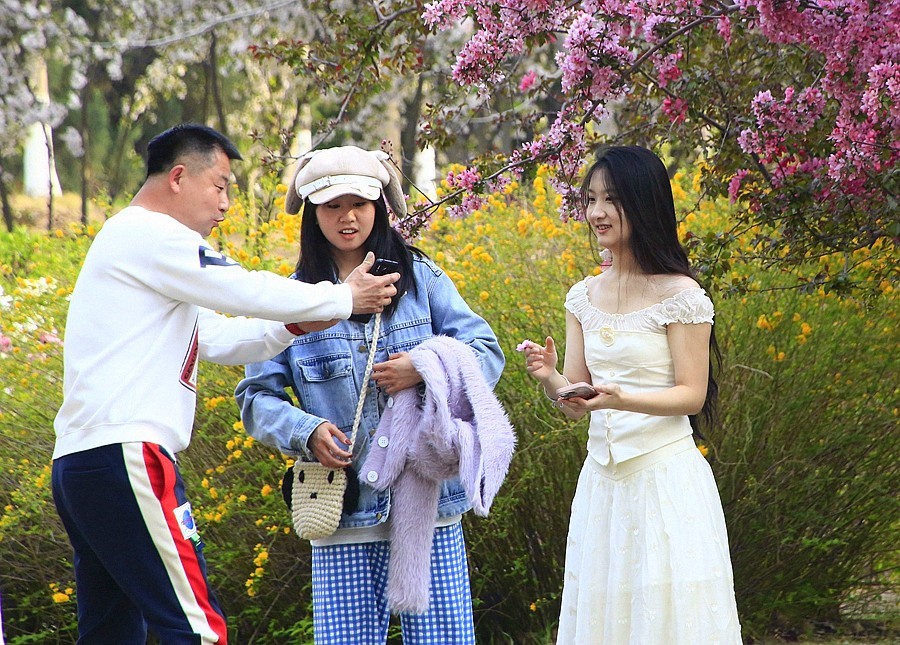 2025.4.9《不老松：纪实摄影》名人植物园：（5）拍花留念也要找角度！