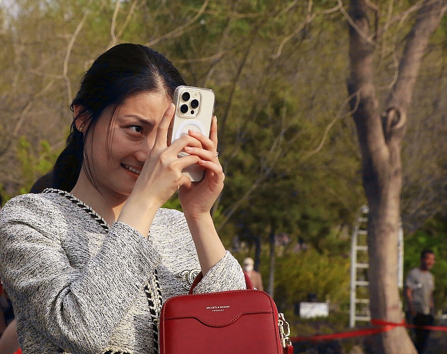 2025.4.9《不老松：纪实摄影》名人植物园：（5）拍花留念也要找角度！