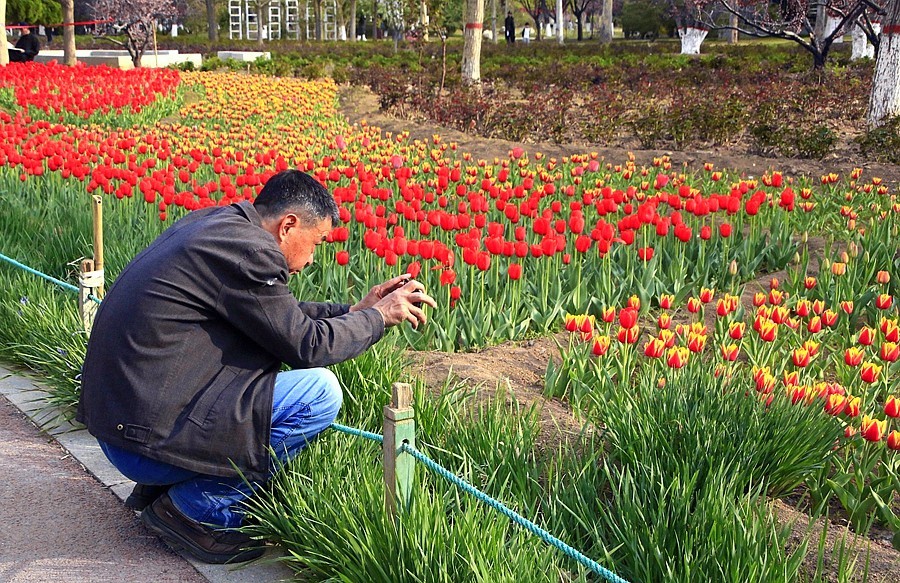 2025.4.9《不老松：纪实摄影》名人植物园：（5）拍花留念也要找角度！