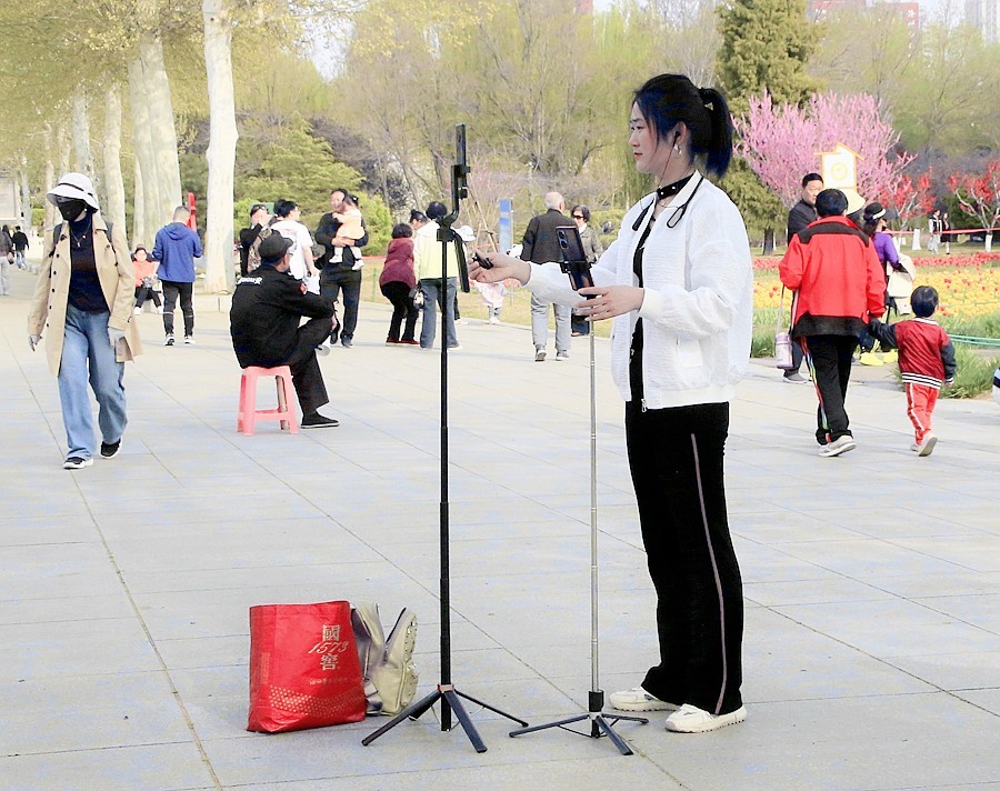 《不老松：纪实摄影》名人植物园：（7）现场直播！