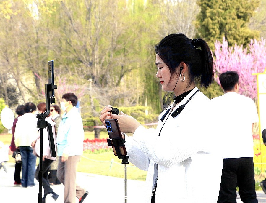 《不老松：纪实摄影》名人植物园：（7）现场直播！