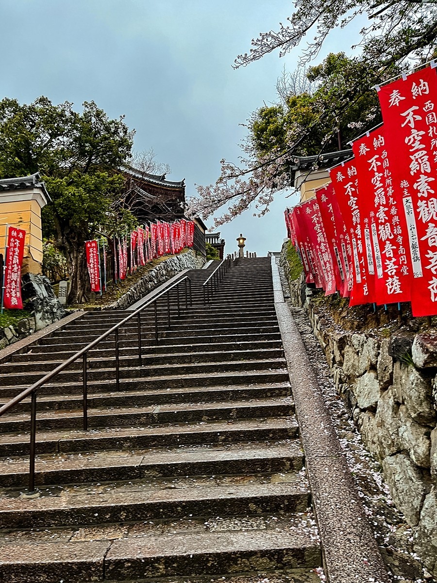 2025年第0244贴-奈良纪实行（0418）