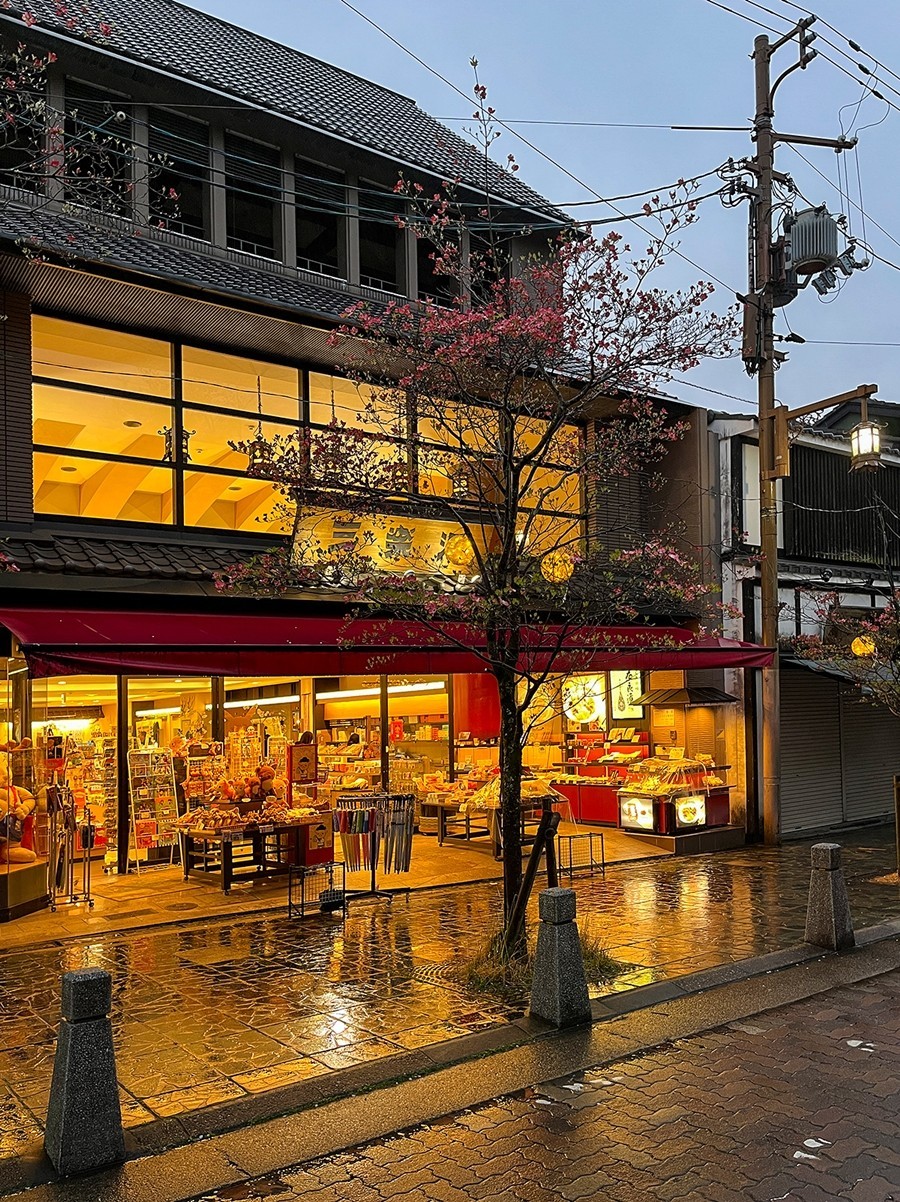 2025年第0244贴-奈良纪实行（0418）