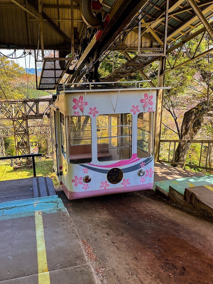 2025年第0244贴-奈良纪实行（0418）