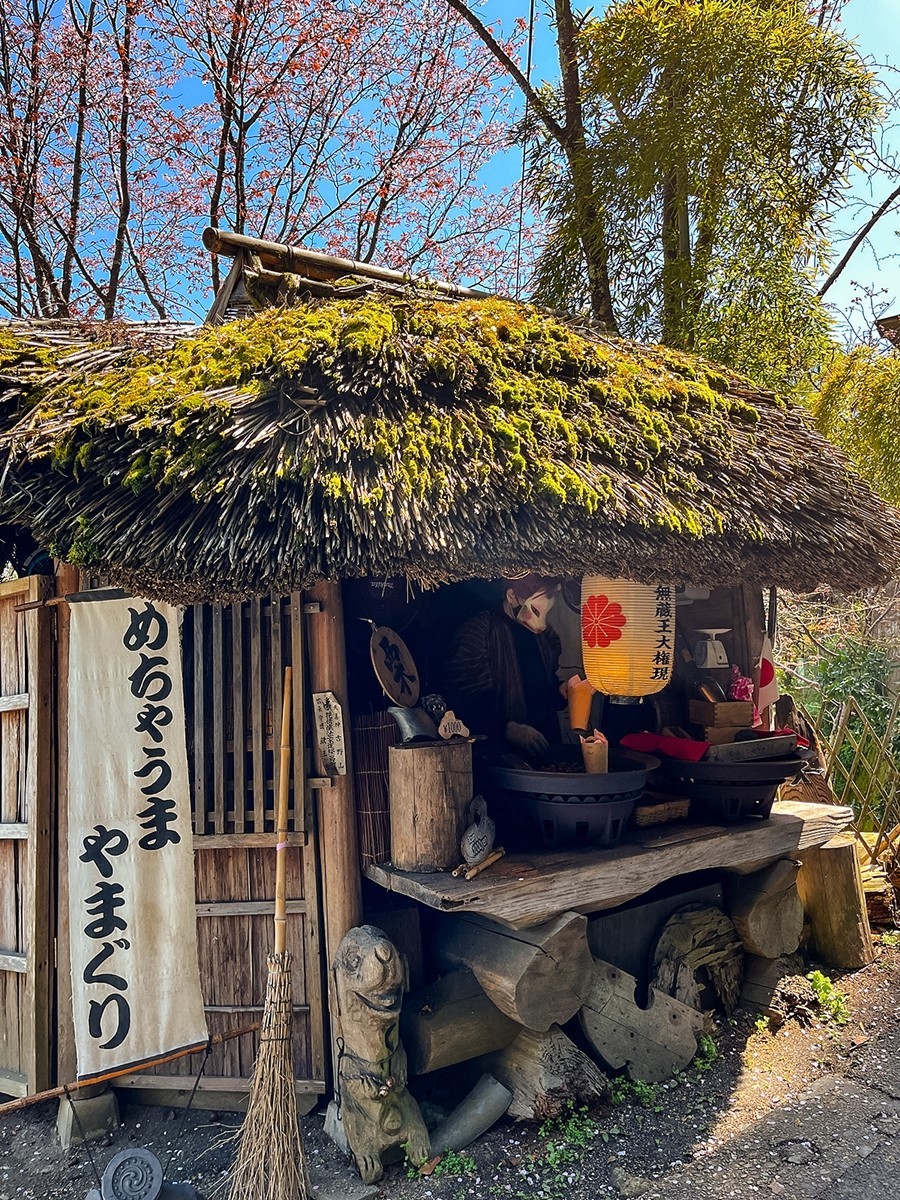 2025年第0244贴-奈良纪实行（0418）