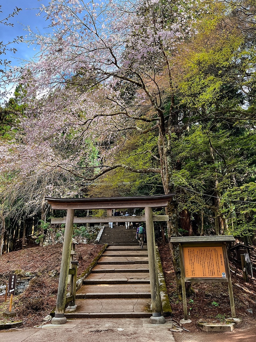 2025年第0244贴-奈良纪实行（0418）