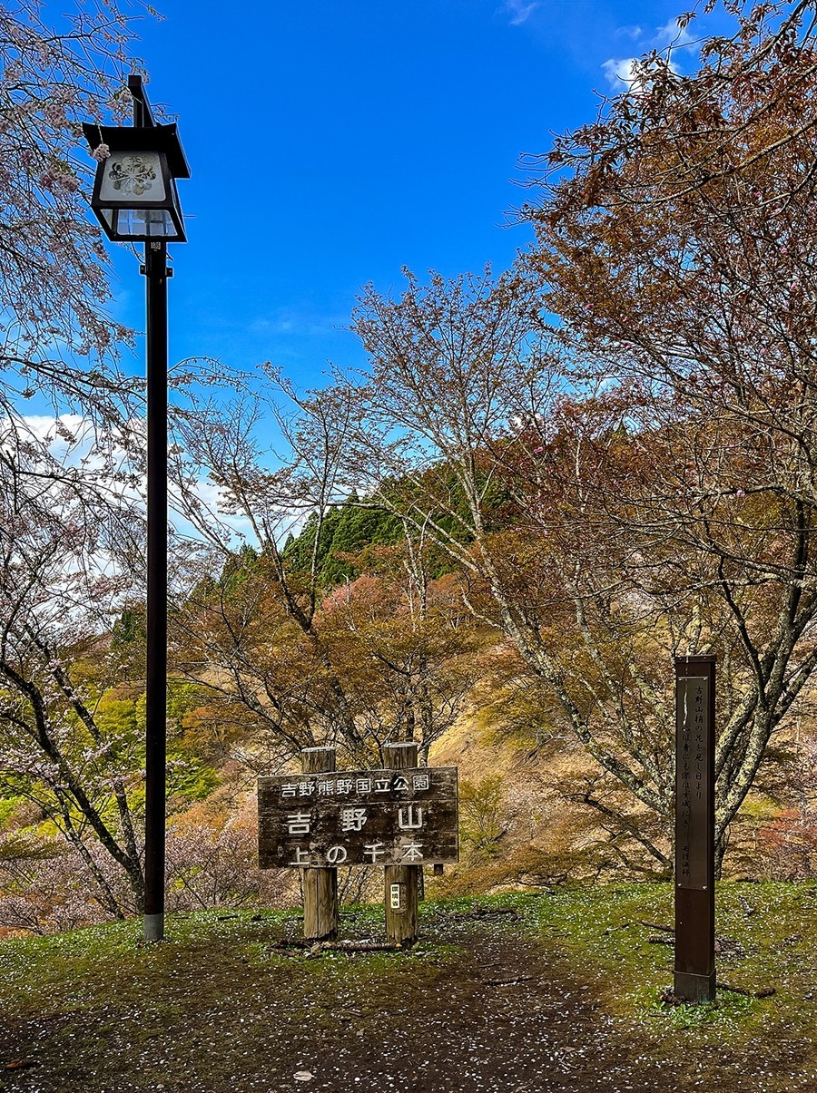 2025年第0245贴-奈良纪实行（0418）