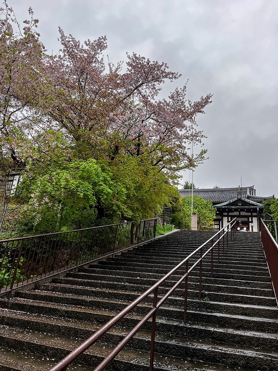 2025年第0245贴-奈良纪实行（0418）