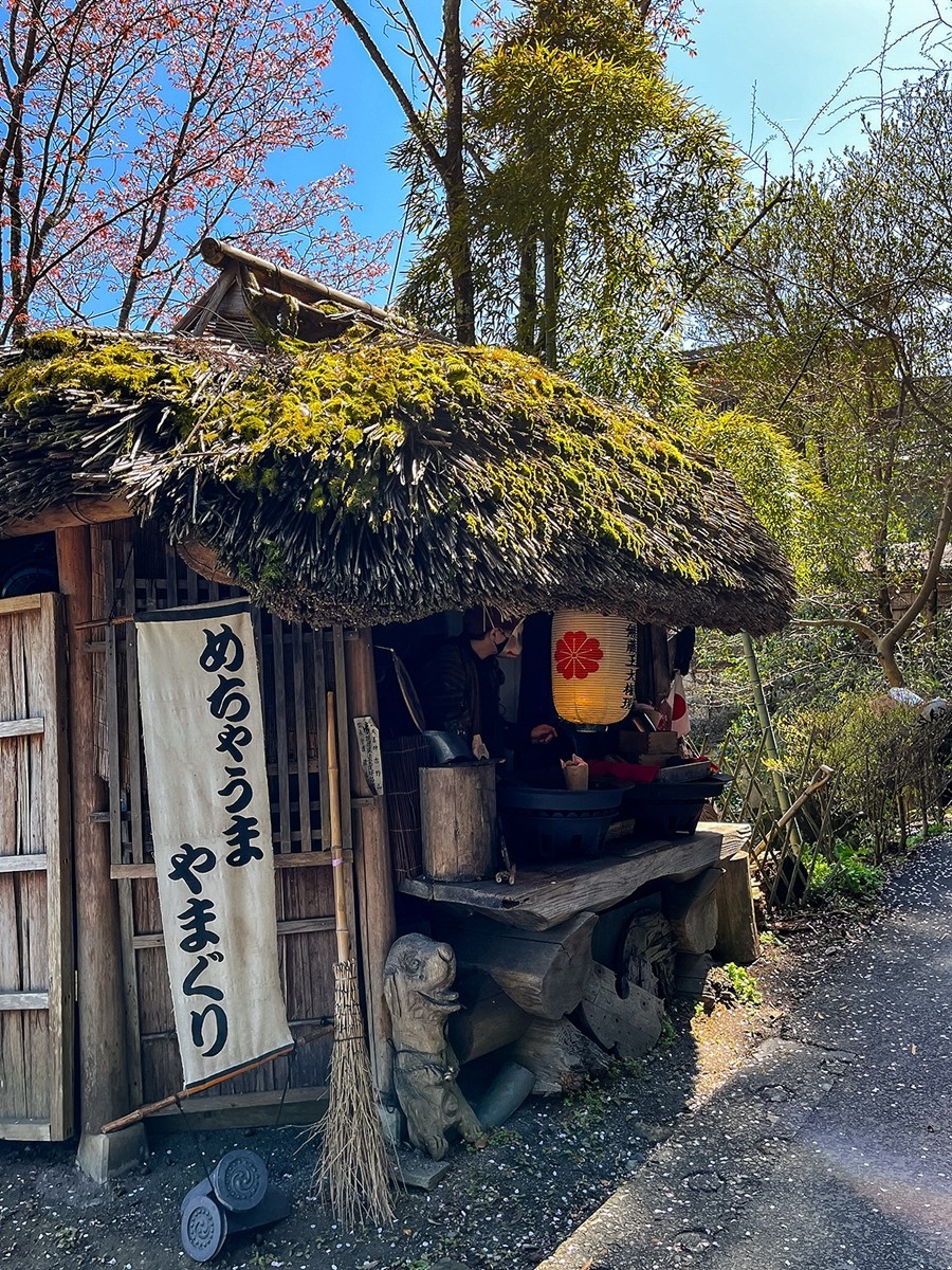 2025年第0245贴-奈良纪实行（0418）