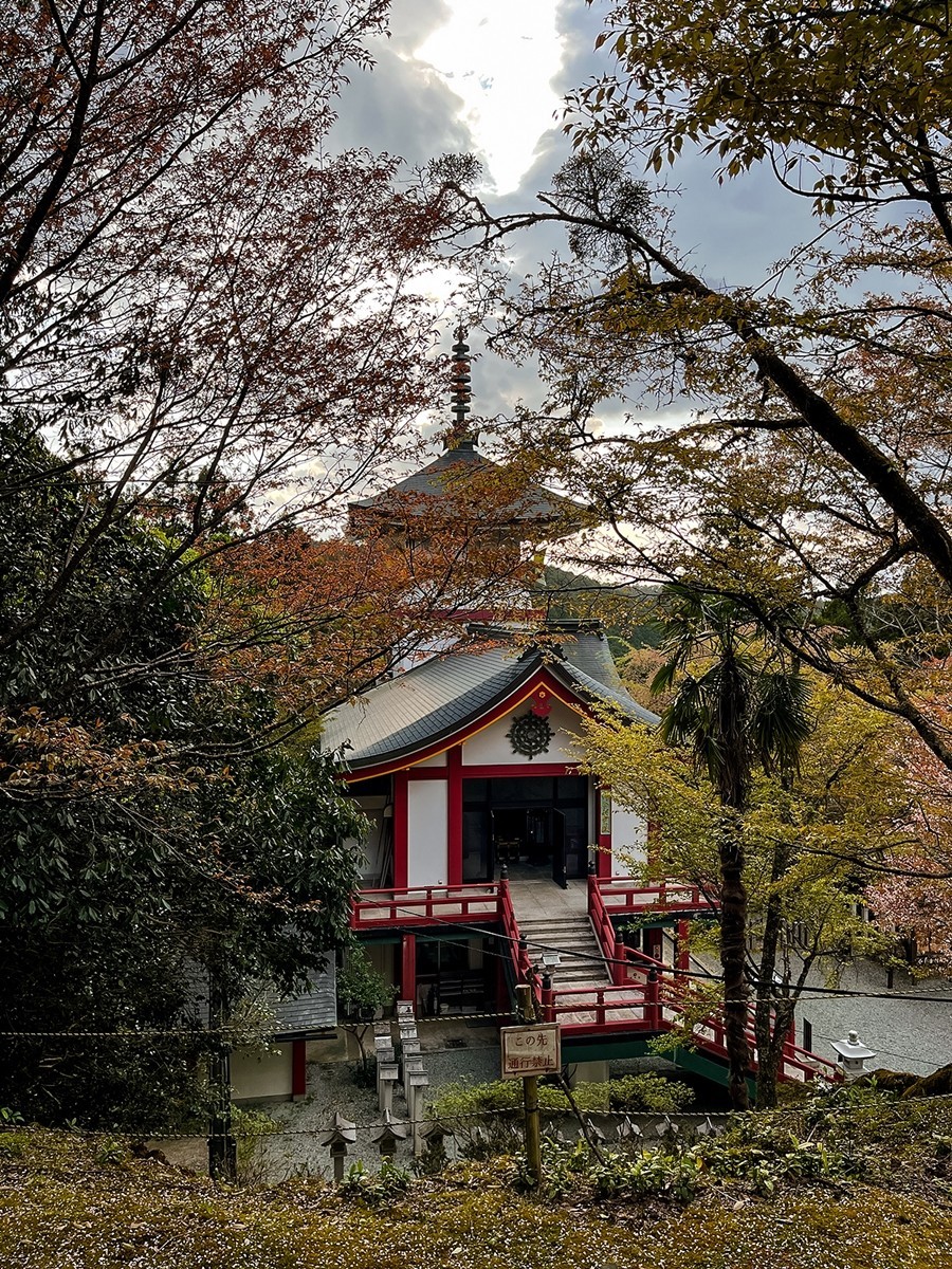 2025年第0245贴-奈良纪实行（0418）