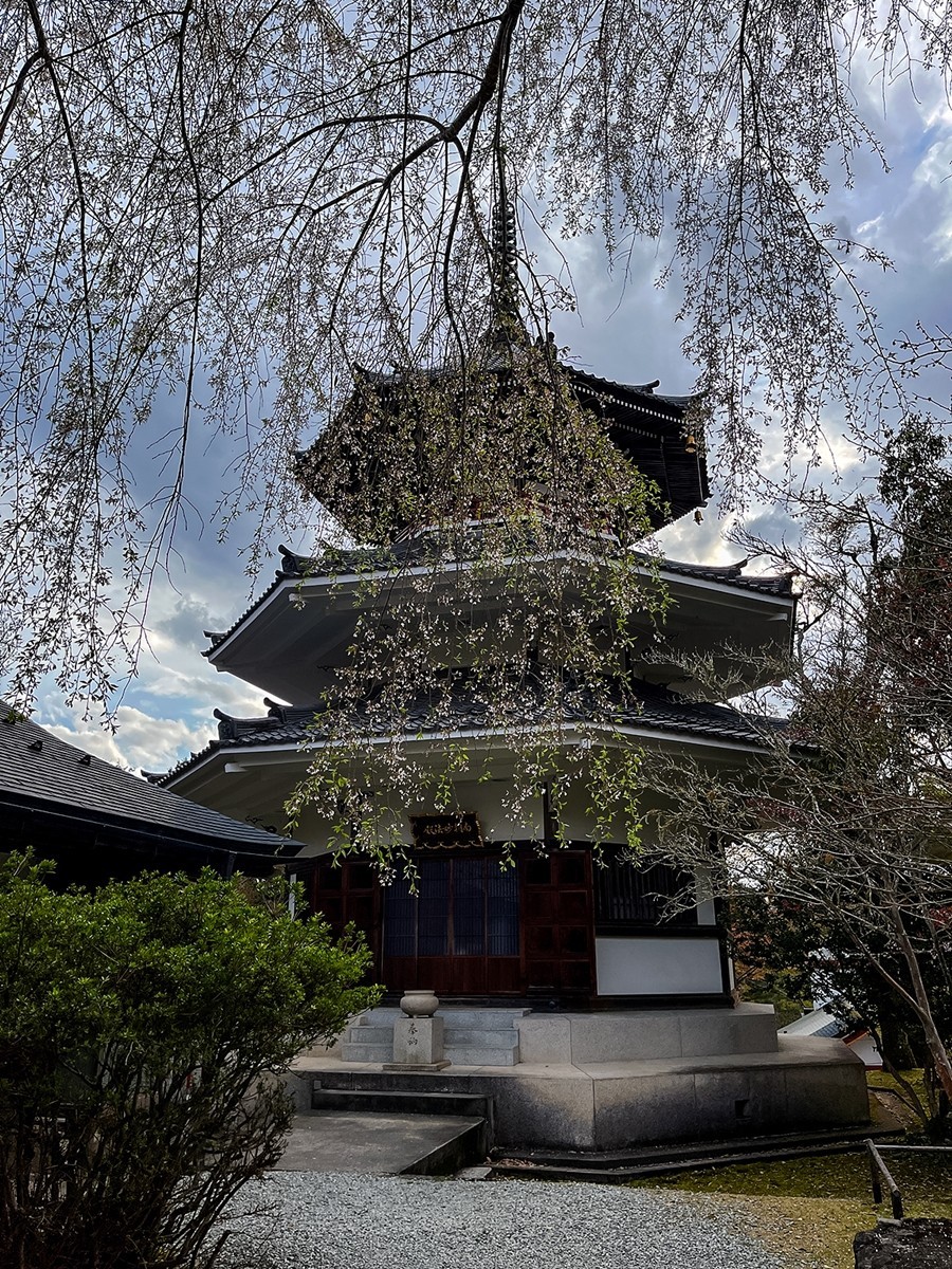 2025年第0245贴-奈良纪实行（0418）