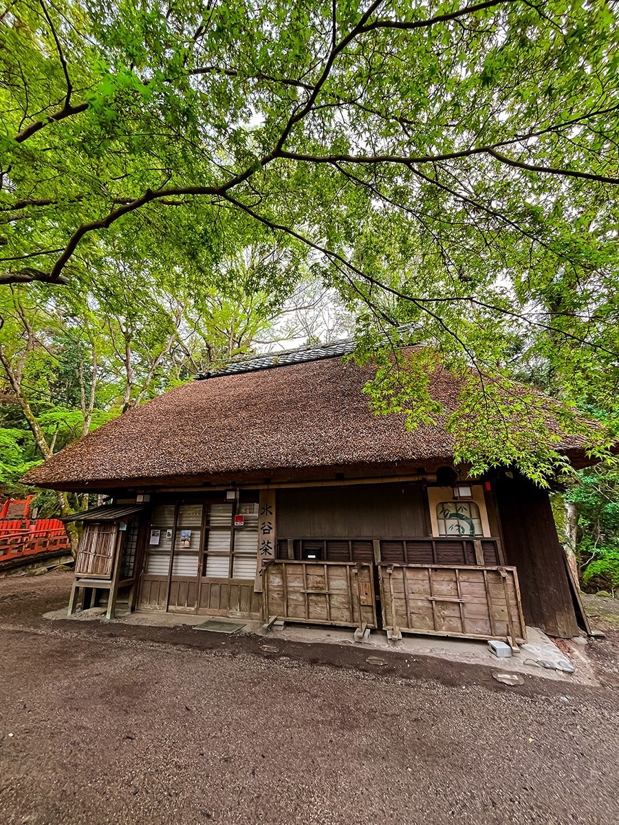 2025年第0246贴-奈良纪实行（0418）