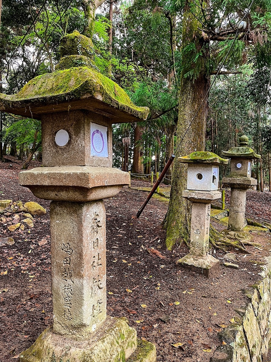 2025年第0246贴-奈良纪实行（0418）