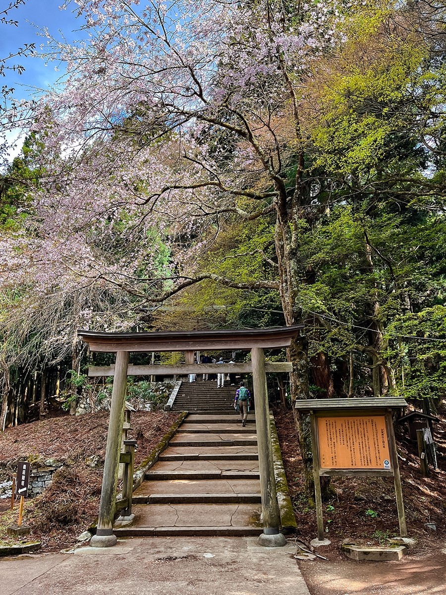 2025年第0246贴-奈良纪实行（0418）