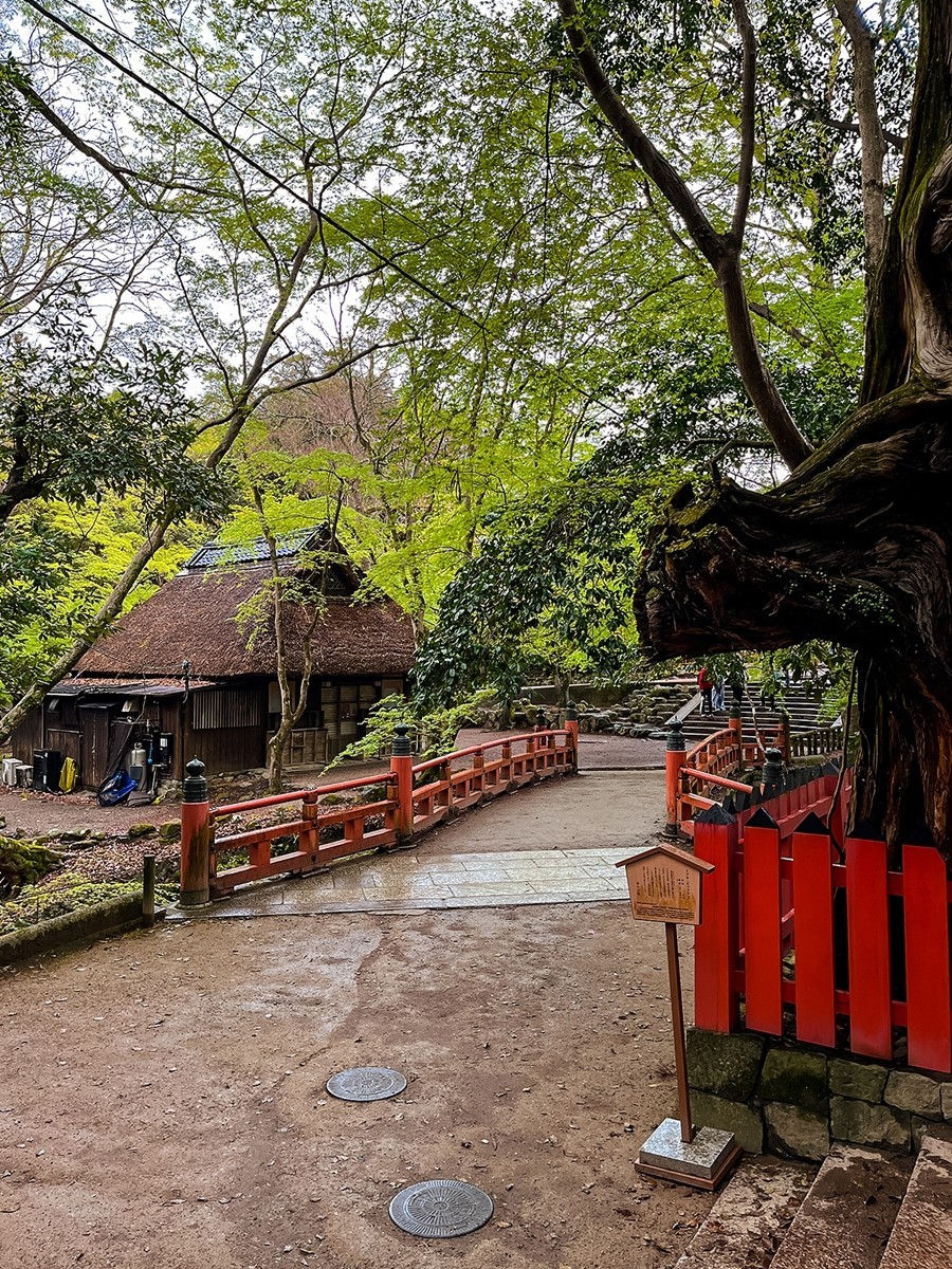 2025年第0246贴-奈良纪实行（0418）