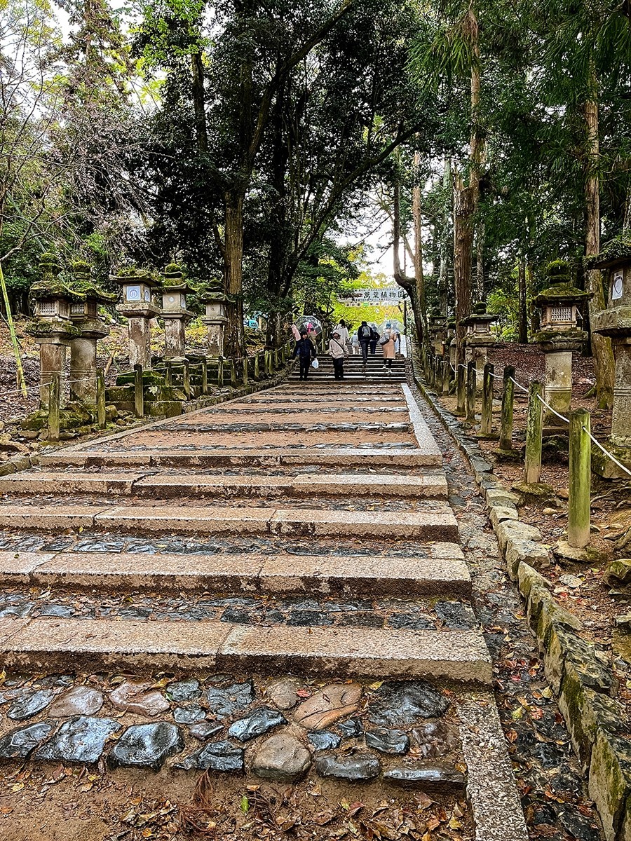 2025年第0246贴-奈良纪实行（0418）