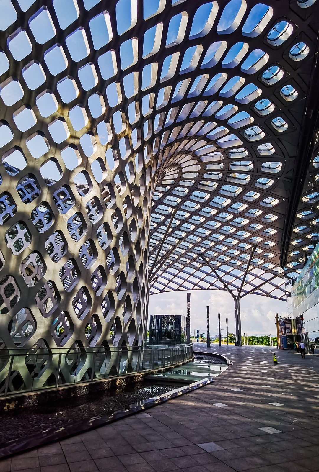 深圳湾体育中心掠影