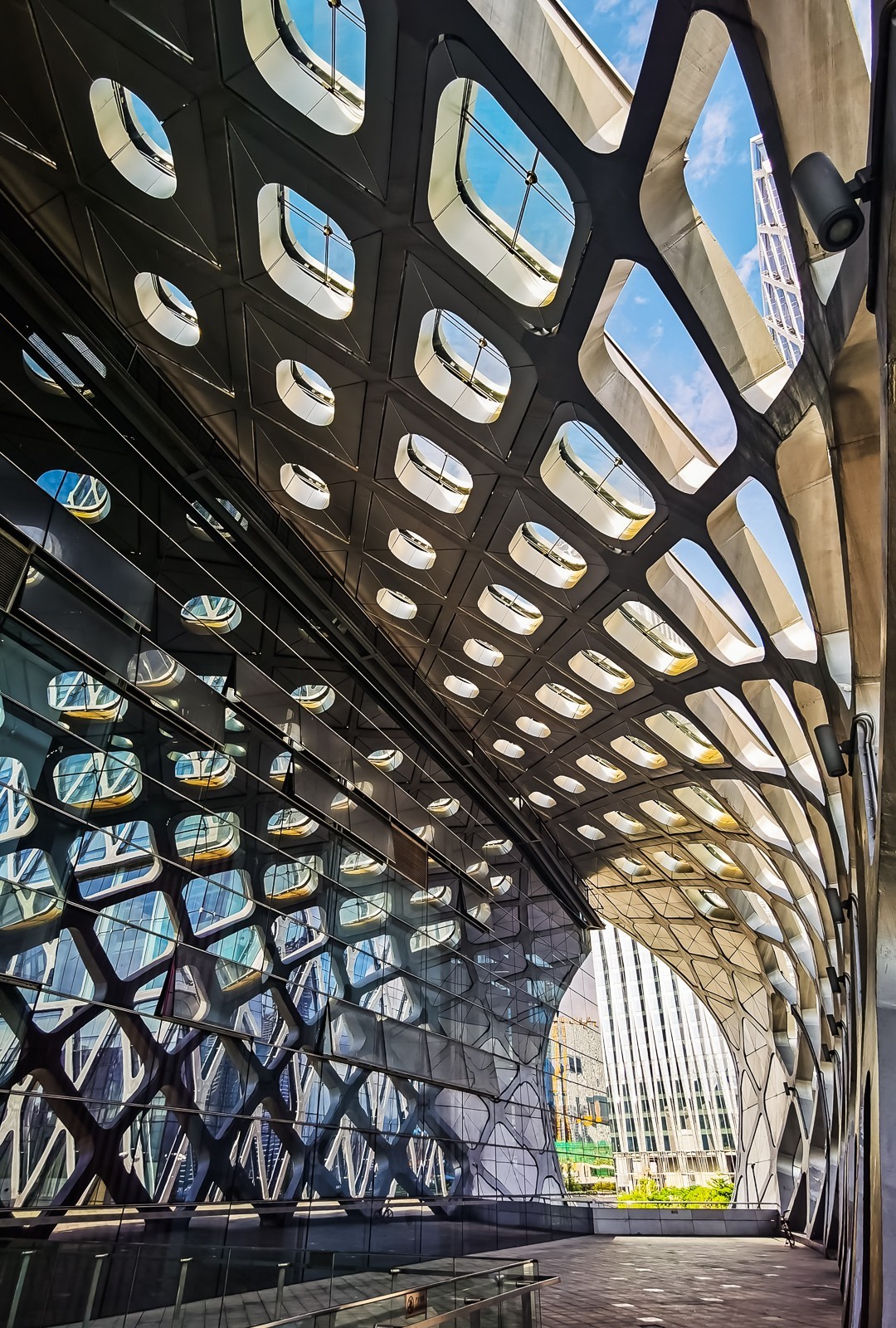 深圳湾体育中心掠影