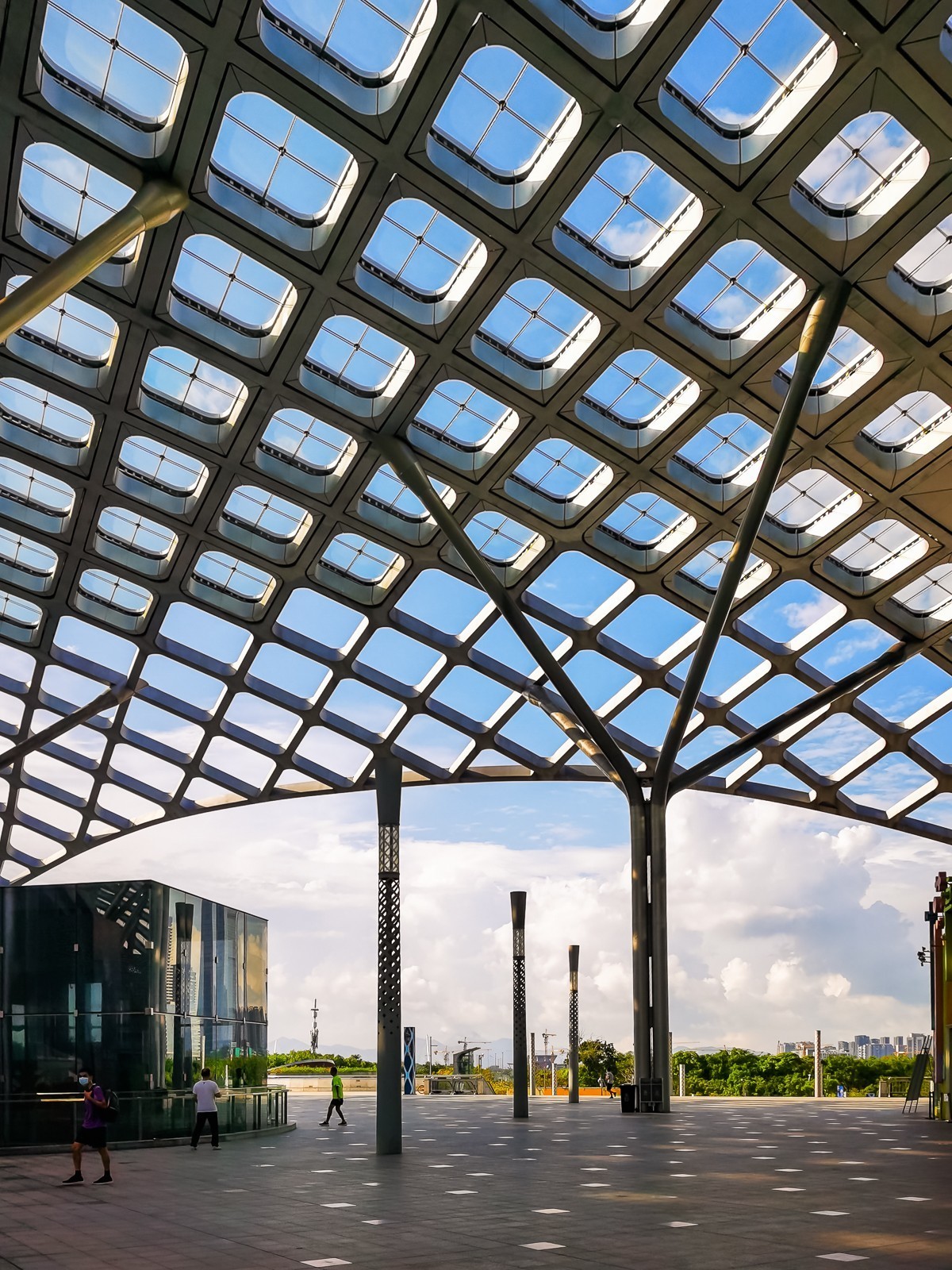 深圳湾体育中心掠影