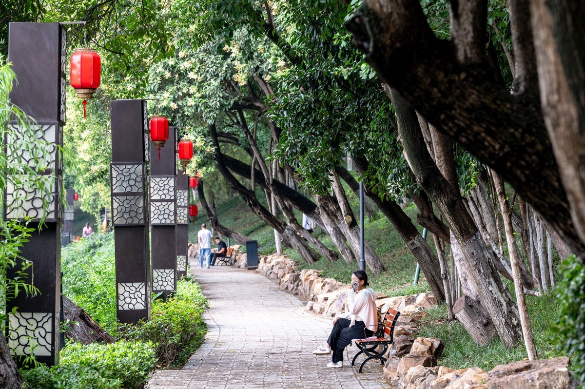 庐州印象（476）雨天包公园