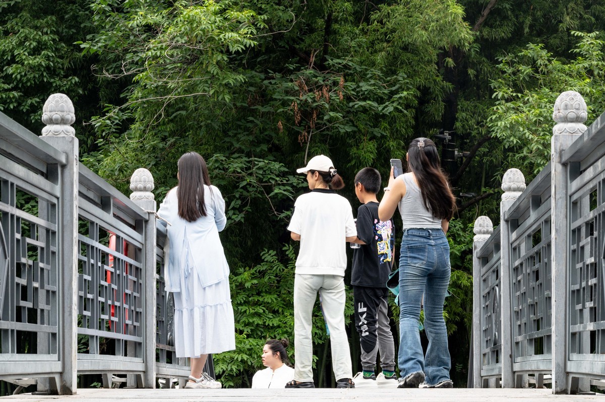庐州印象（476）雨天包公园