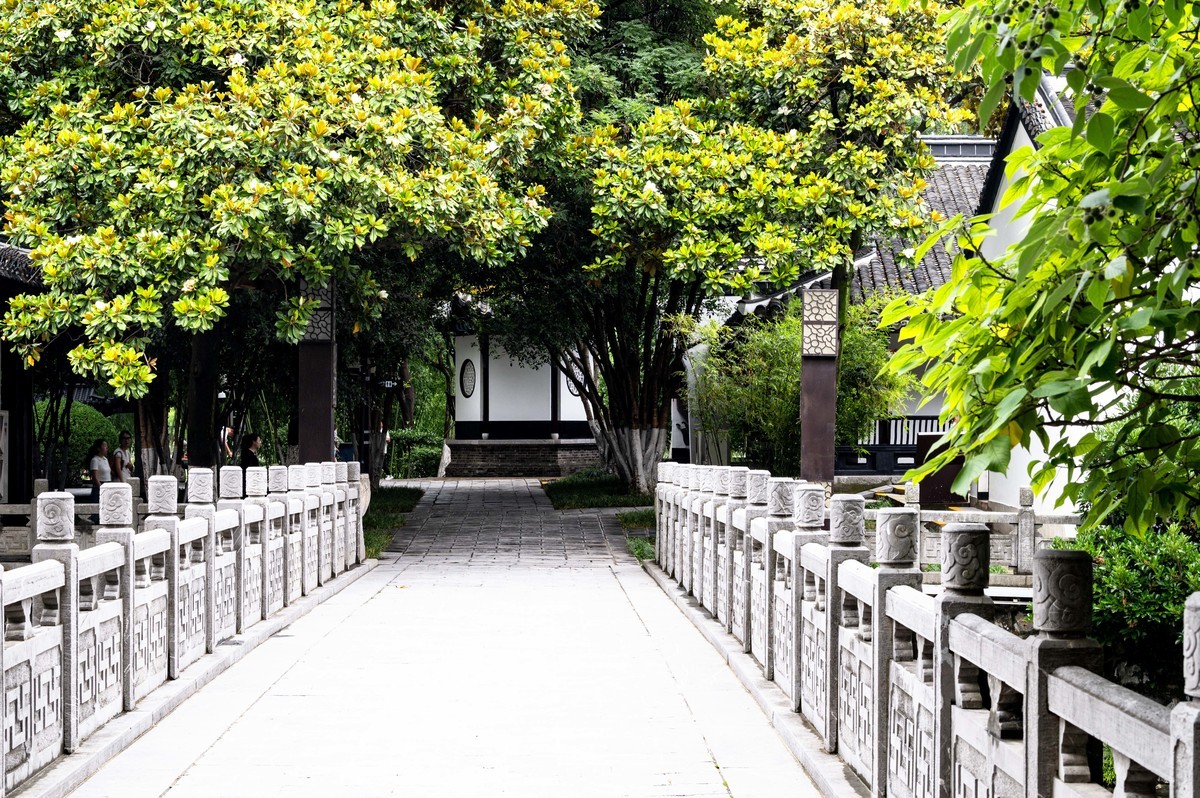 庐州印象（476）雨天包公园