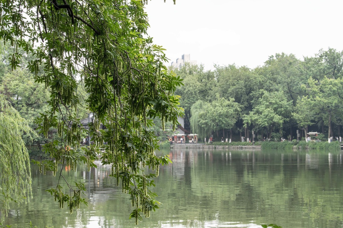 庐州印象（476）雨天包公园