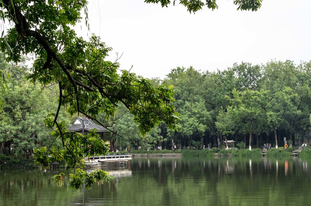 庐州印象（476）雨天包公园