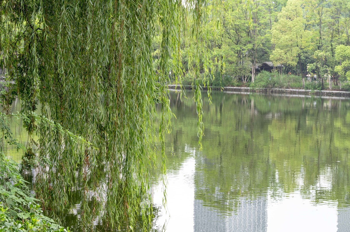 庐州印象（476）雨天包公园