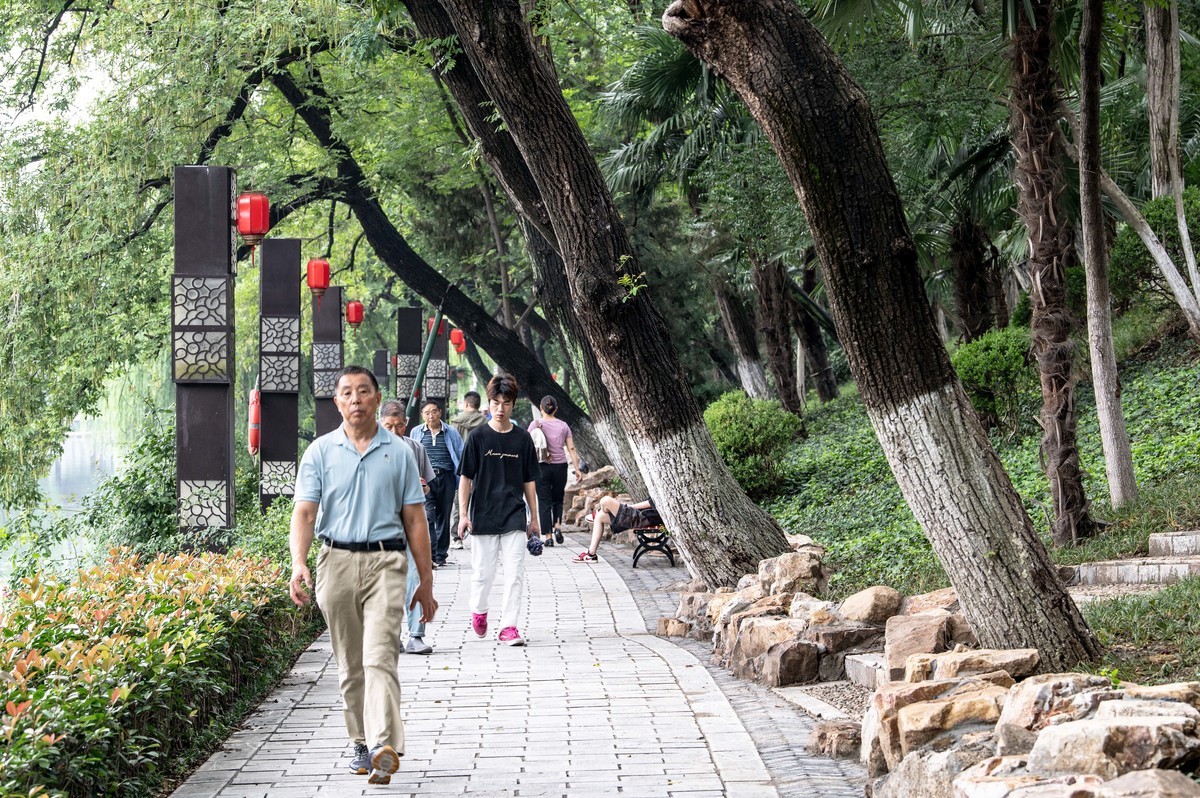 庐州印象（476）雨天包公园