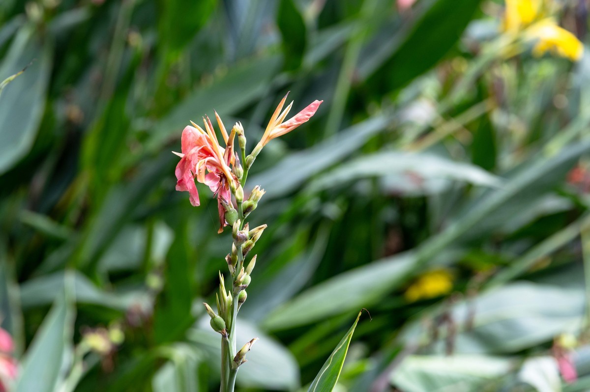庐州印象（476）雨天包公园