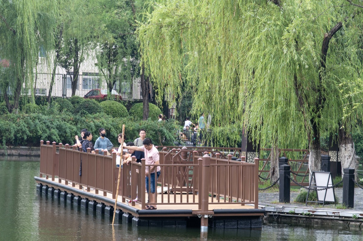 庐州印象（477）雨中游包河