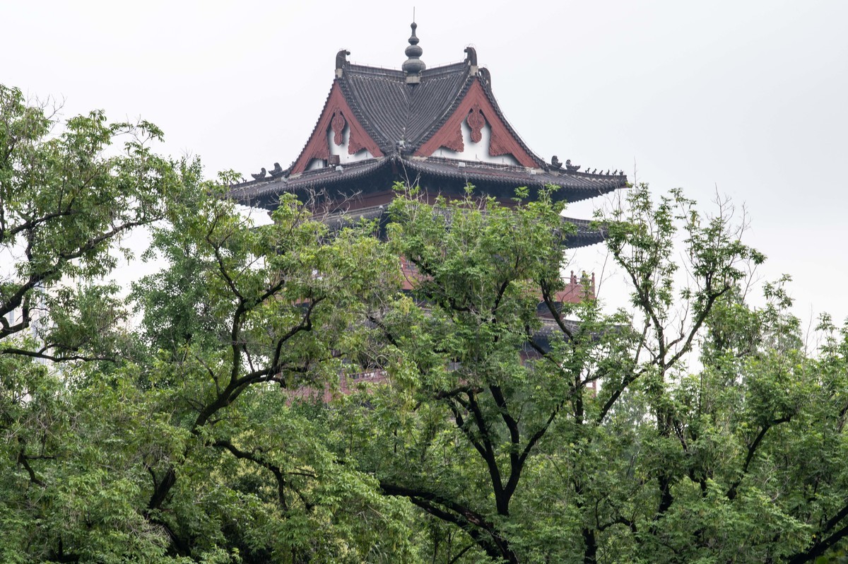 庐州印象（477）雨中游包河
