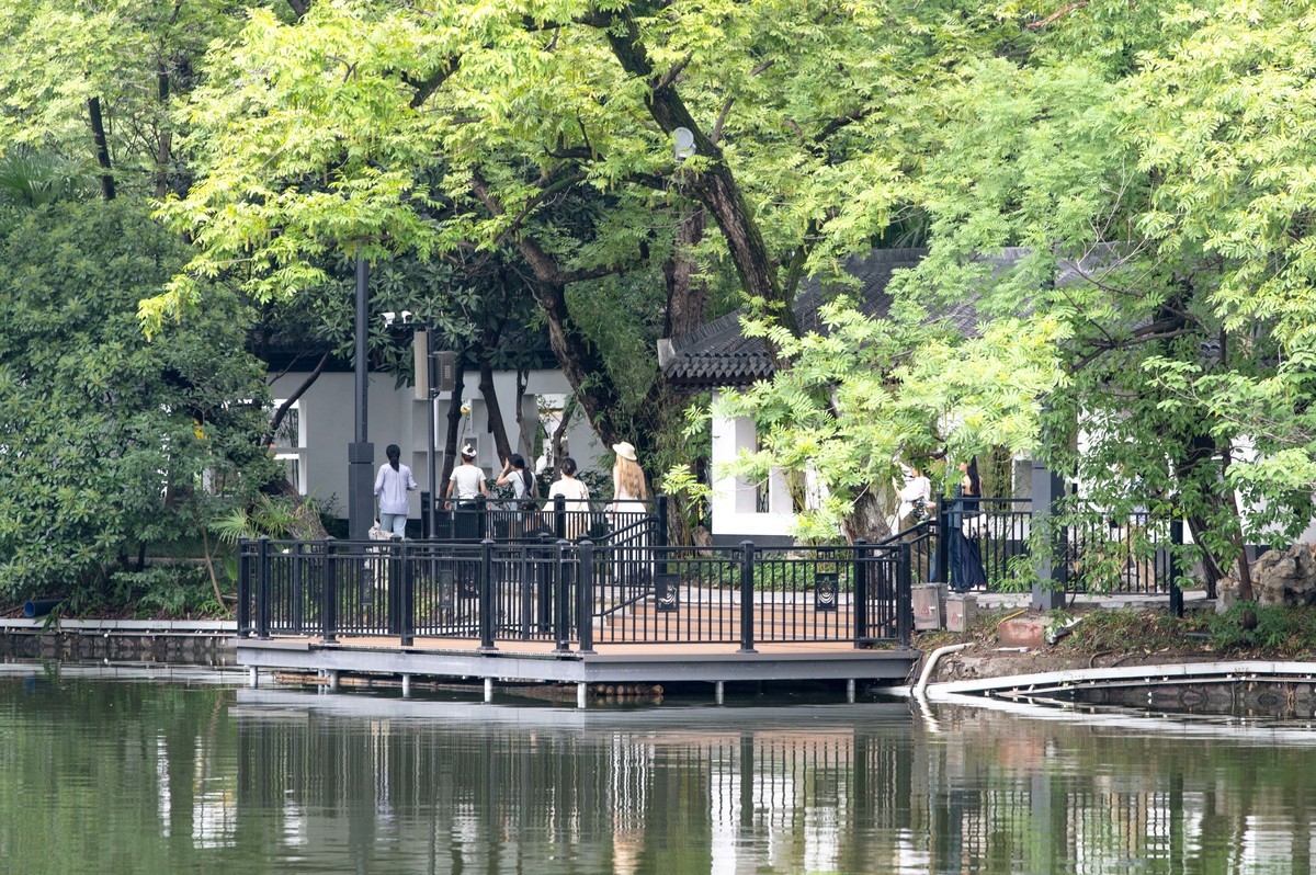 庐州印象（477）雨中游包河