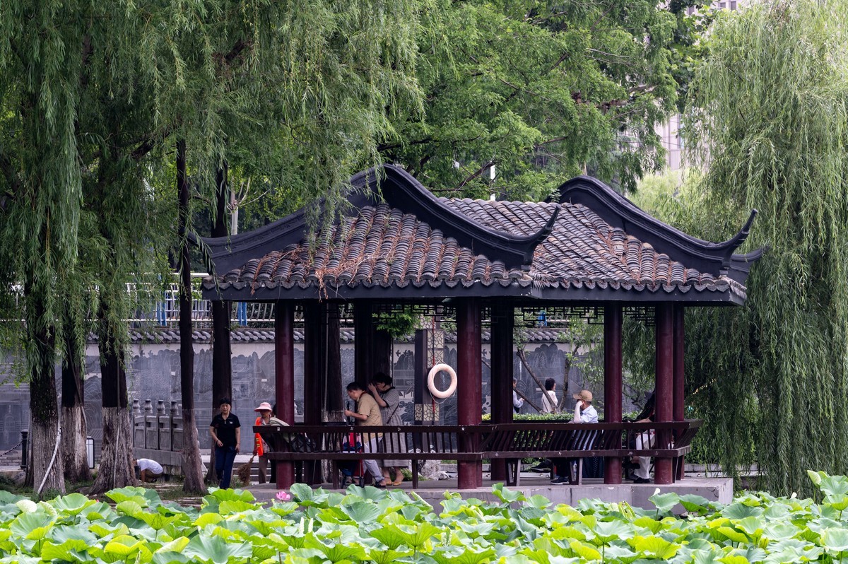 庐州印象（477）雨中游包河