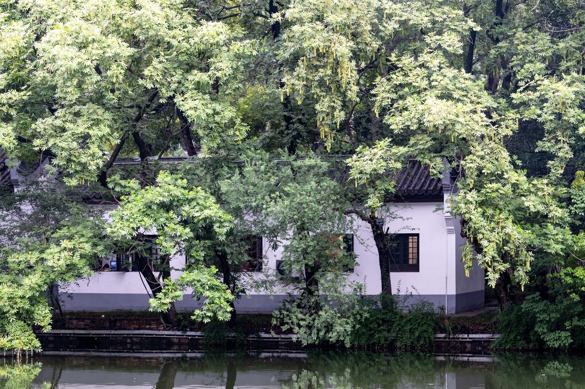 庐州印象（477）雨中游包河